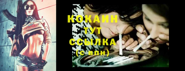 бутират Богородицк