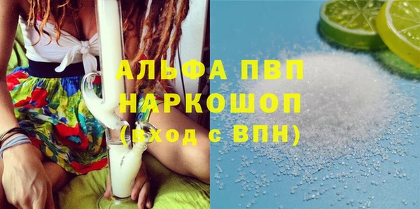 ГАЛЛЮЦИНОГЕННЫЕ ГРИБЫ Богданович