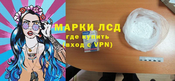 ГАЛЛЮЦИНОГЕННЫЕ ГРИБЫ Богданович