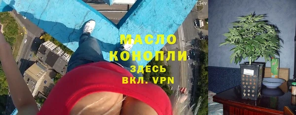 ГАЛЛЮЦИНОГЕННЫЕ ГРИБЫ Богданович