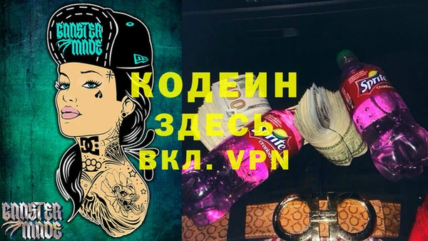 ГАЛЛЮЦИНОГЕННЫЕ ГРИБЫ Богданович